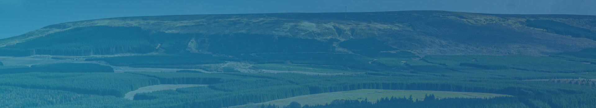 Hawick