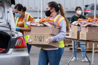 Volunteer Loads Food